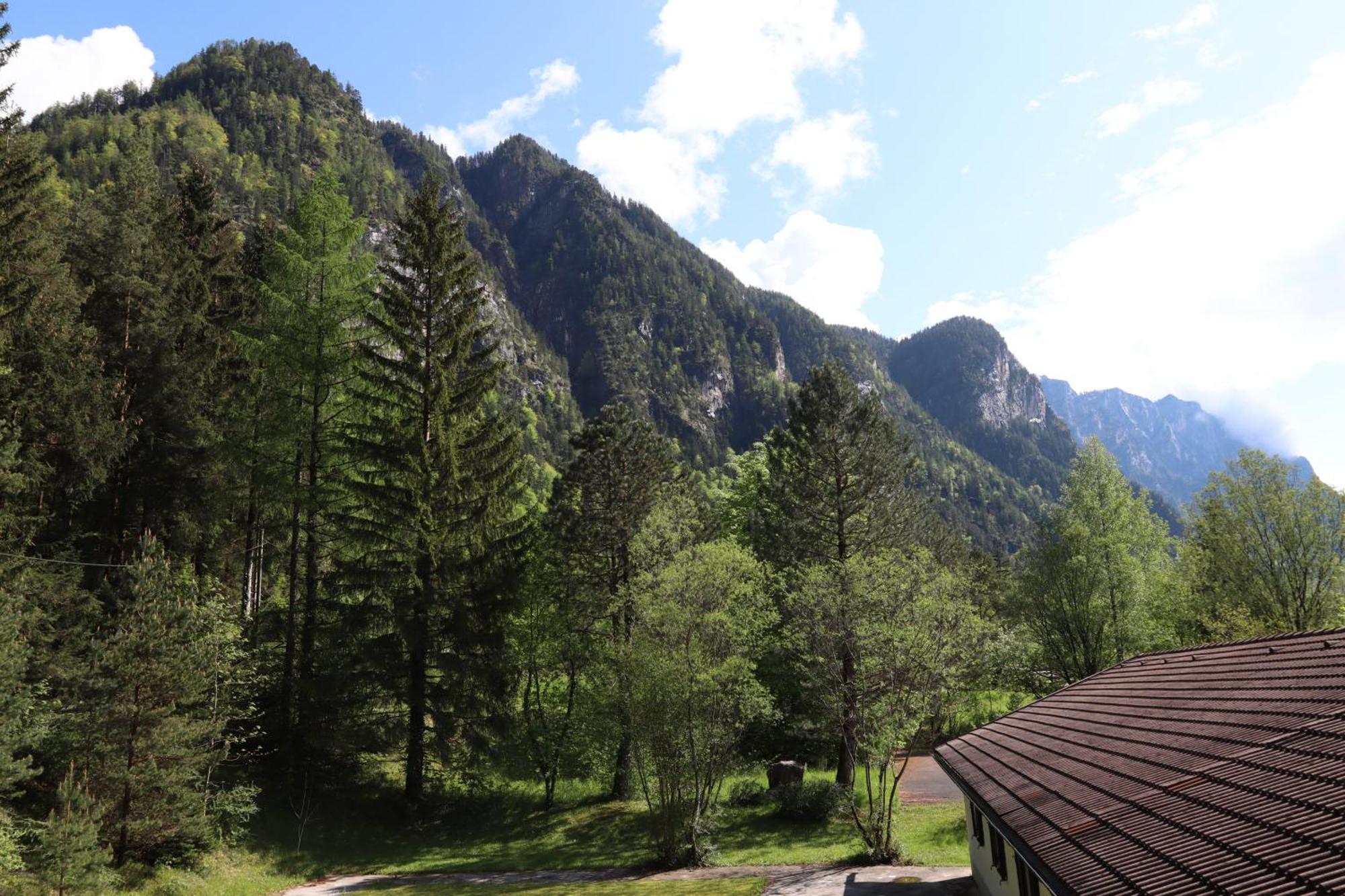 Pension Almhof Baumgarten Bad Reichenhall Exterior photo
